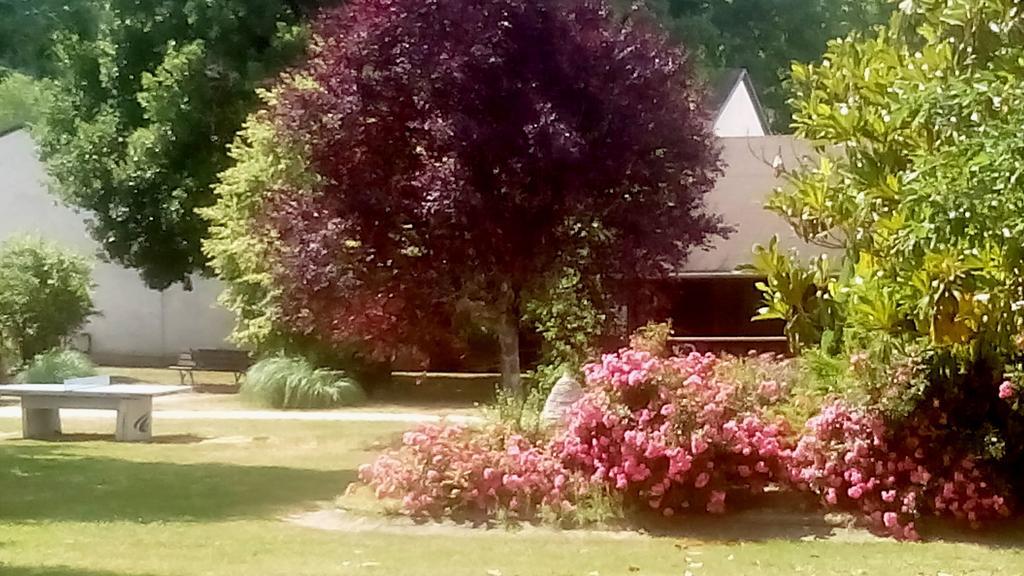 Vvf Dordogne Lot Hotel Gluges Buitenkant foto